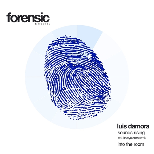 Luis Damora - Sounds Rising - Into the Room [FOR2025]